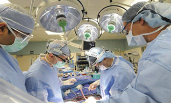 نجاح استخدام الخلايا الجذعية في إصلاح أنسجة القلب