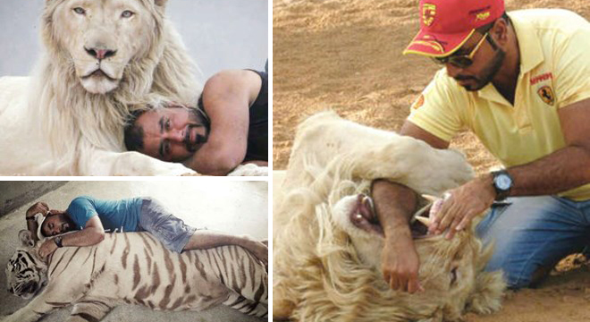 إماراتي يعيش مع حيوانات مفترسة منذ 12 عاماً