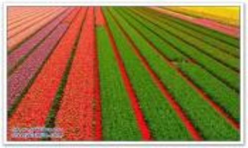 الإمارات تقدم قرضاً لصربيا بقيمة 97 مليون دولار